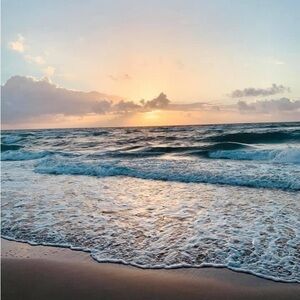 Meet your Posher, Misty